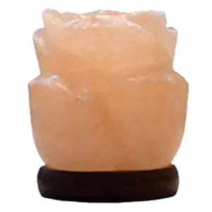 Pink Salt Flower Shape USB Lamp