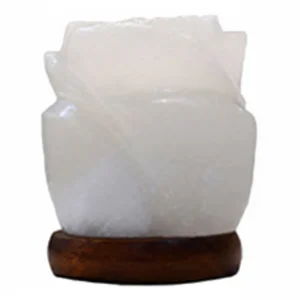 White Salt Flower Shape USB Lamp